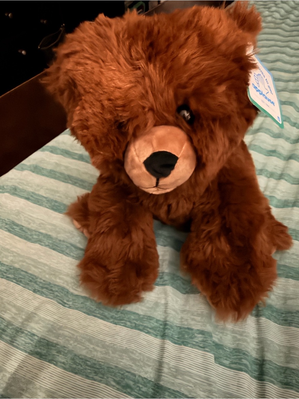 Plush Brown Bear Toy - Soft Fluffy Applause Jazwares Girl Scout Reward
